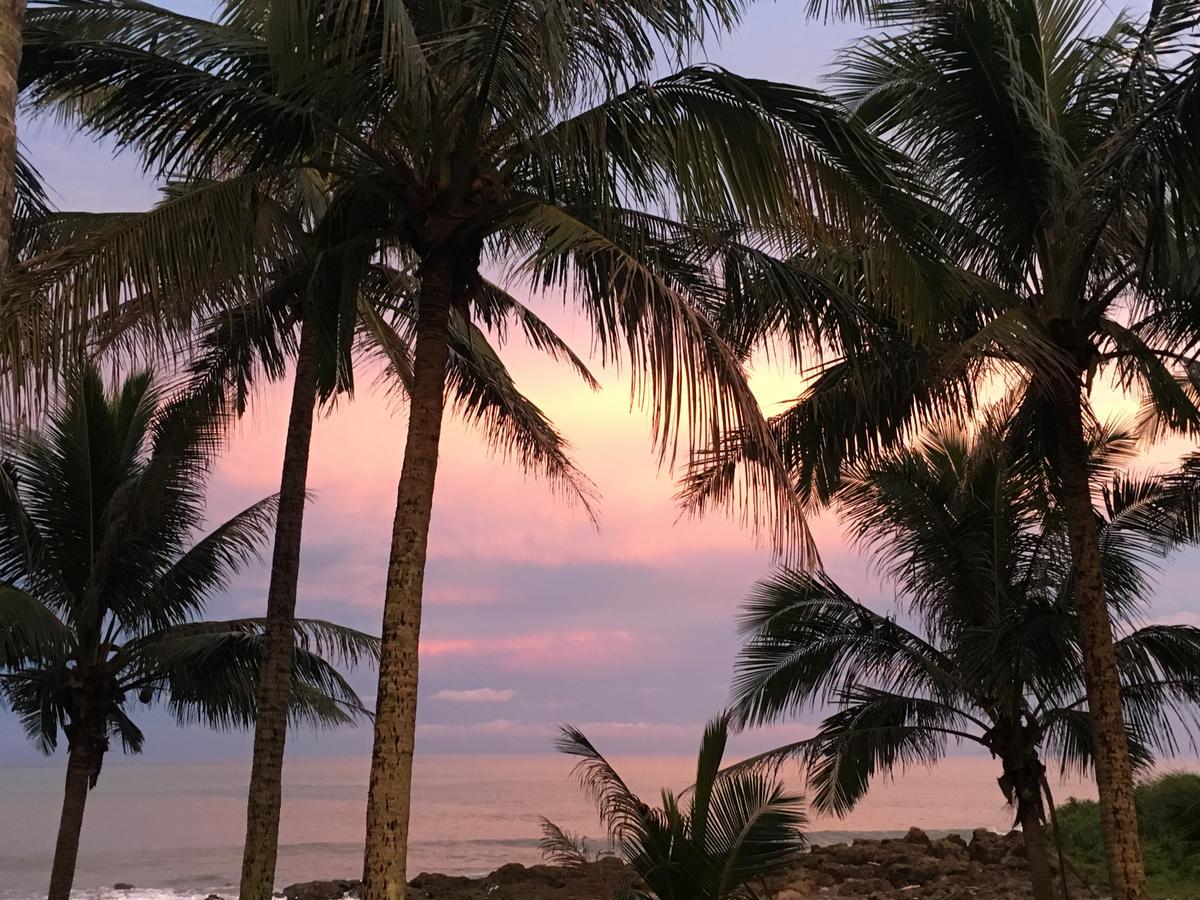 Coconut Beach Homestay Beinan ภายนอก รูปภาพ